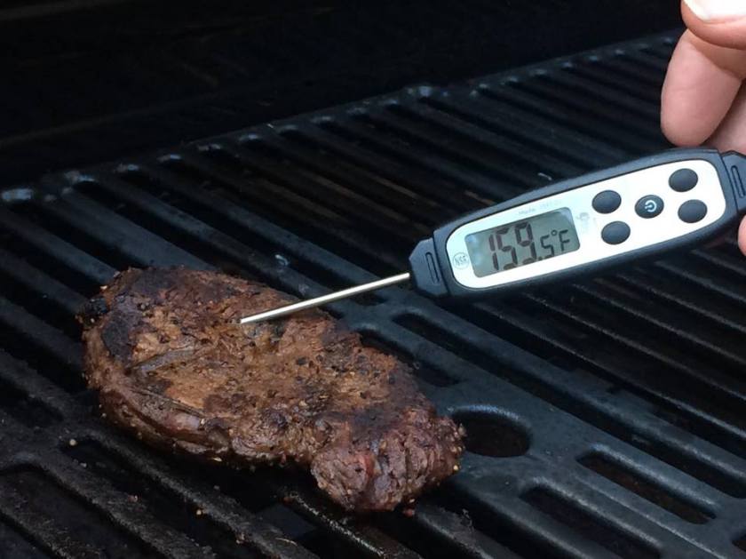 precision-pro-food-thermometer