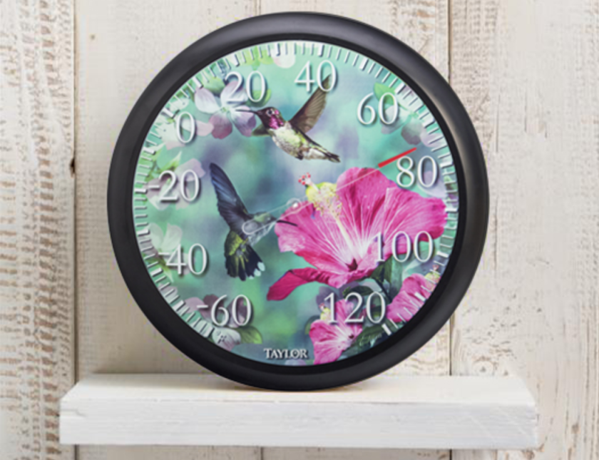 Taylor Hummingbird Dial Thermometer